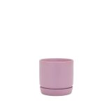 Mini Oslo Planter Mallow