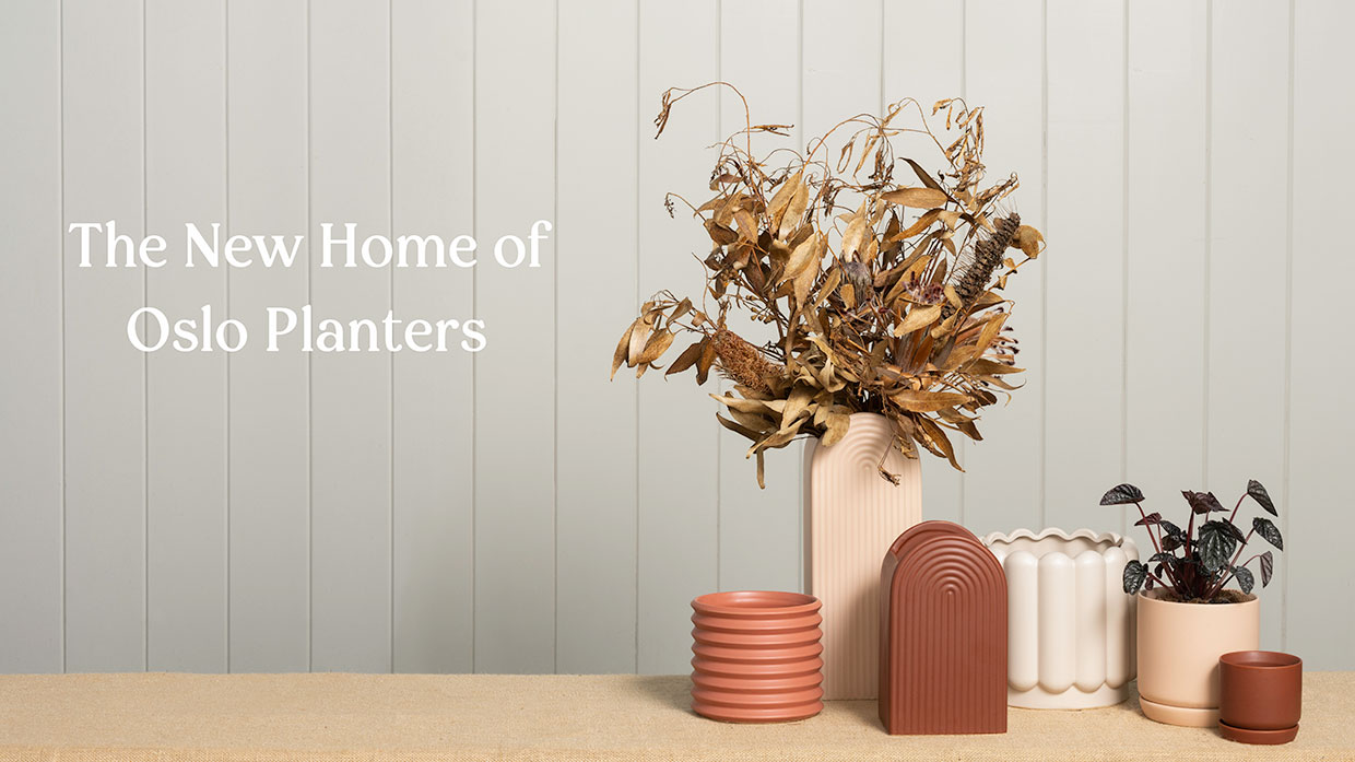 The home of beautiful plant pots